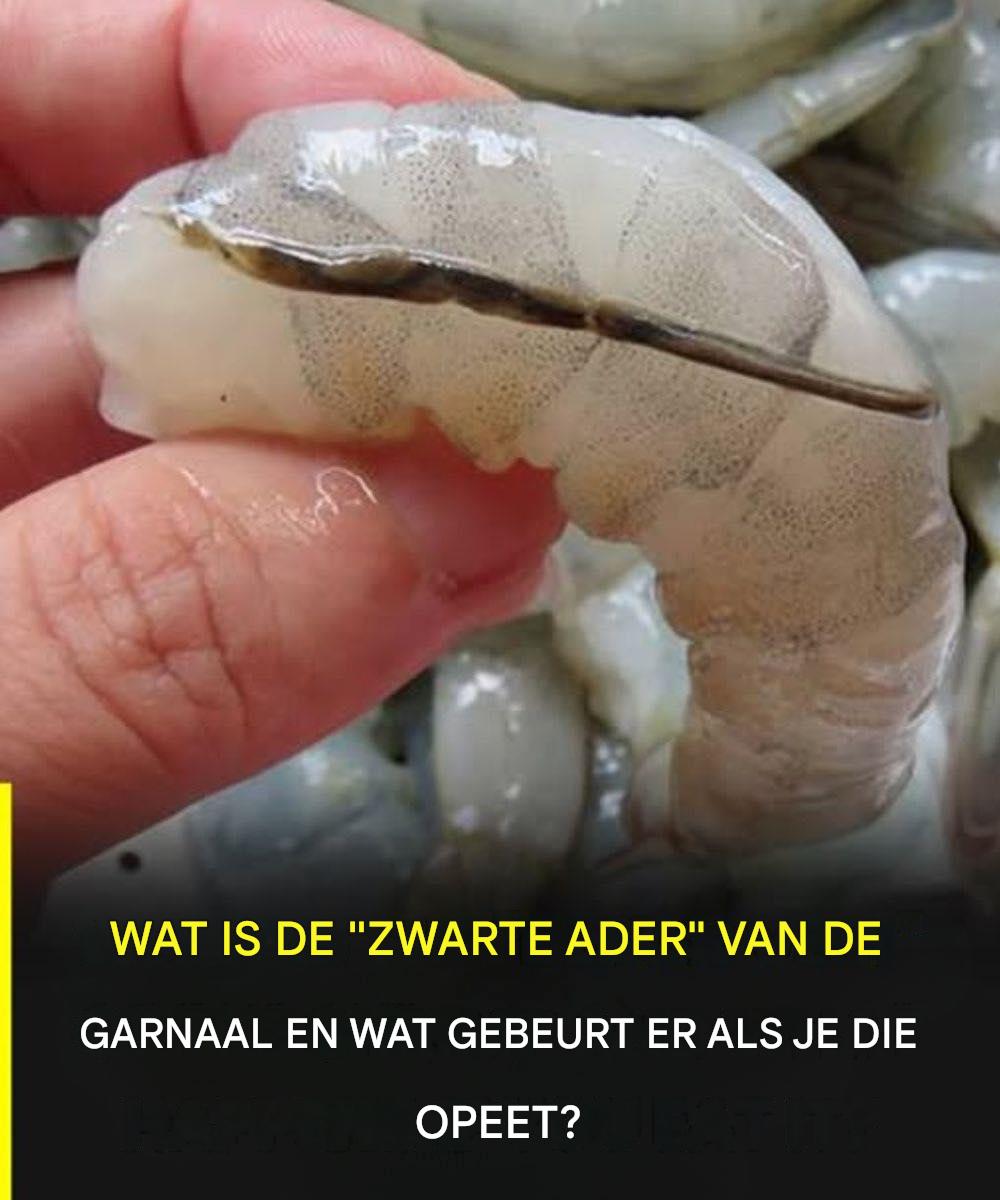 De “ader” van de garnaal: een culinair detail dat maar weinig mensen kennen, maar waar veel over gepraat wordt.