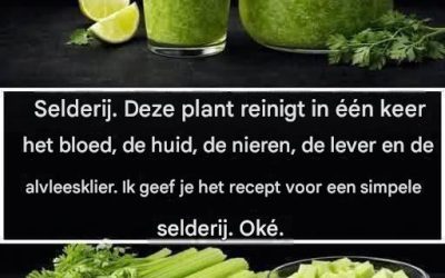 Oma’s leverreiniging