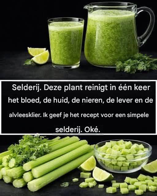 Oma’s leverreiniging