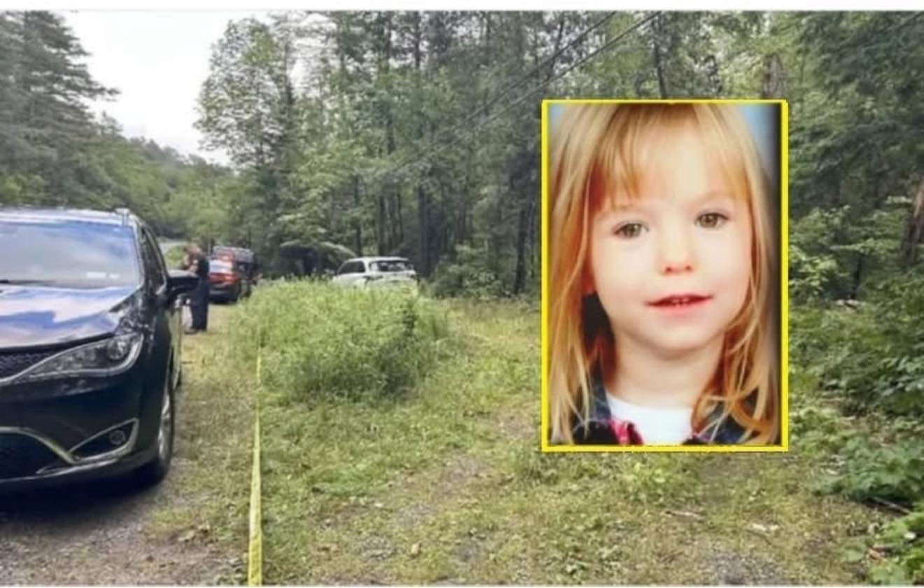 Vermist meisje gevonden in het bos, haar moeder was degene die haar gevonden had…