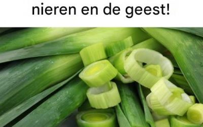 Deze groente is een weldaad voor de lever, de nieren en de geest!