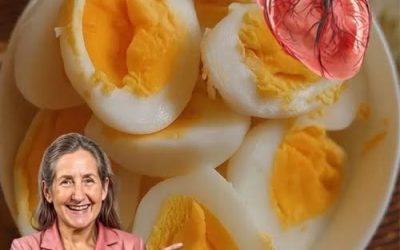 🥚Eieren ontrafeld: De verrassende waarheid over het dagelijks eten van eieren