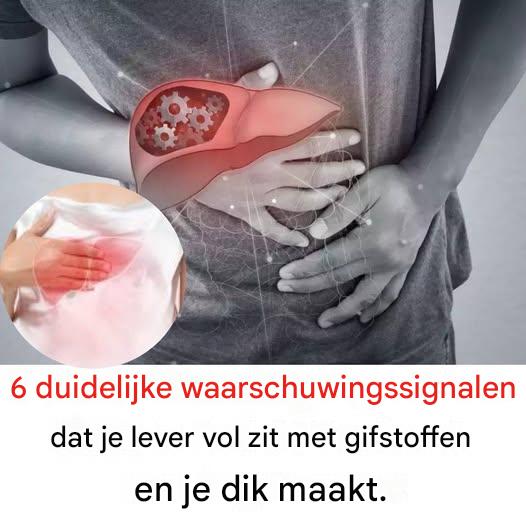 6 duidelijke waarschuwingssignalen dat je lever vol zit met gifstoffen en je dik maakt.