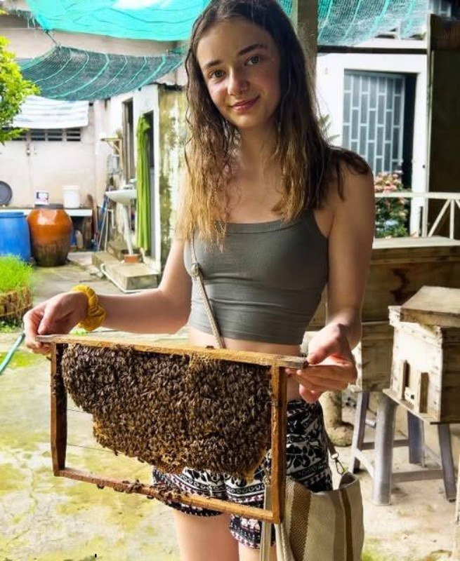 Mijn overleden vader liet me slechts een bijenstal na, terwijl mijn zus het huis innam en me buitensloot. Maar één bijenkorf verborg een geheim dat alles zou veranderen.