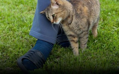 Wat het betekent als een kat tegen je aanwrijft — en hoe je daarop moet reageren