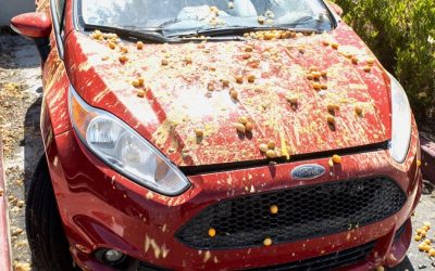 “Hij bekogelde mijn auto met eieren omdat die zijn Halloweenversiering blokkeerde – ik heb hem teruggepakt met een truc die hij nooit zal vergeten.”