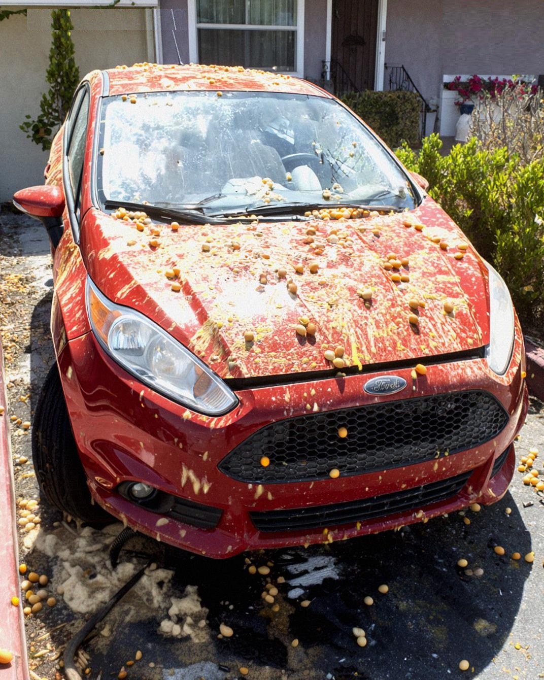“Hij bekogelde mijn auto met eieren omdat die zijn Halloweenversiering blokkeerde – ik heb hem teruggepakt met een truc die hij nooit zal vergeten.”