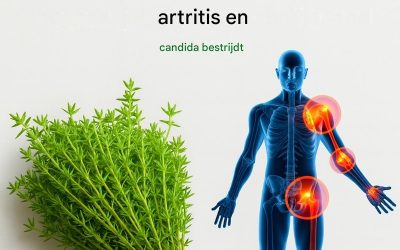 Tijm: Het natuurlijke middel tegen diverse gezondheidsproblemen