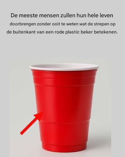De rode Solo Cup: de geheimen achter een Amerikaans icoon