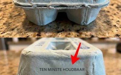Wat de nummers op je eierdoos nu echt betekenen — en waarom het negeren ervan je ziek kan maken.
