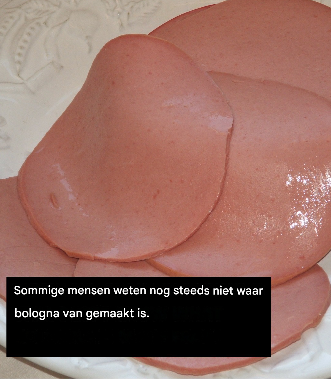 Waar is bologna van gemaakt?