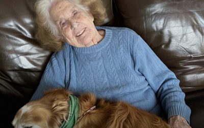 Terwijl mijn familie ruzie maakte over het testament van mijn grootmoeder, bleef ik achter met haar geliefde hond en ontdekte ik het geheim dat ze had achtergelaten — Verhaal van de dag