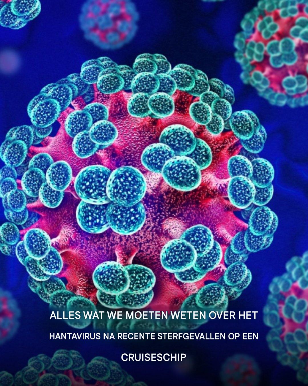Alles wat we moeten weten over het hantavirus na recente sterfgevallen op een cruiseschip