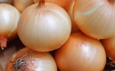 Artsen onthullen dat het eten van uien ‘s avonds de slaap op verrassende manieren beïnvloedt.