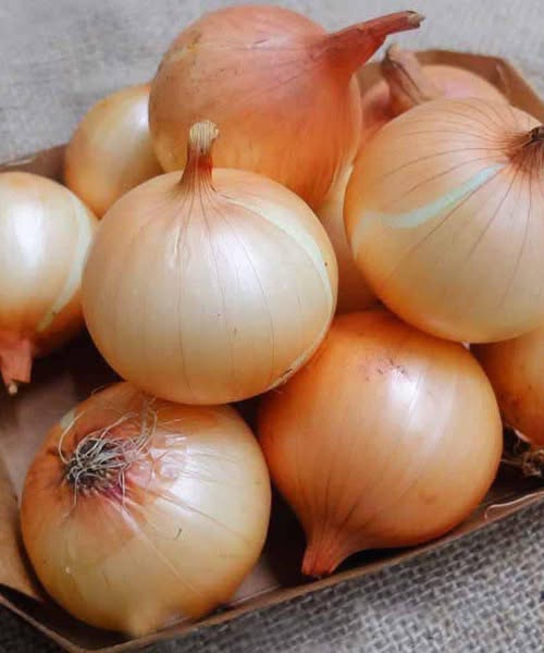 Artsen onthullen dat het eten van uien ‘s avonds de slaap op verrassende manieren beïnvloedt.