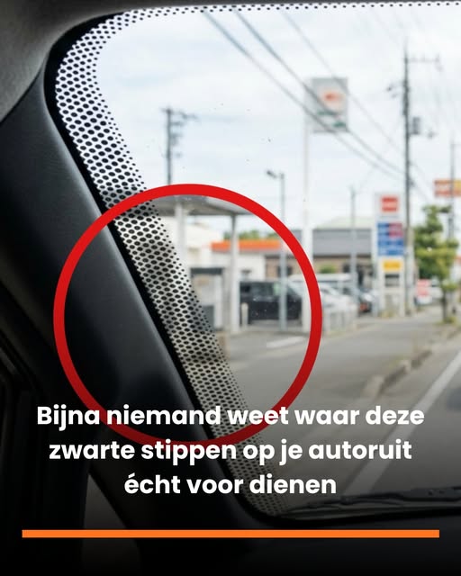 Je ziet deze zwarte stippen elke dag op je autoruit, maar bijna niemand kent de echte functie