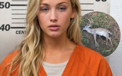 Politie arresteert verdachte in ongebruikelijke zaak met betrekking tot wilde dieren in Amerikaans bosgebied