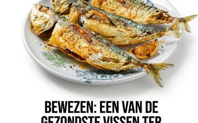 Het is bewezen dat dit een van de gezondste vissen ter wereld is: het is goedkoper dan zalm en je zou het vaker moeten eten