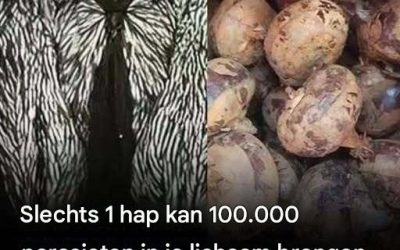 Eén hap kan duizenden parasieten bevatten: het voedsel dat veel mensen nog steeds eten.