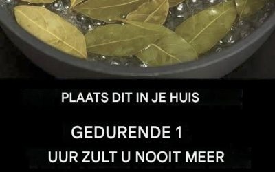 Het geheim van een insectenvrij huis: natuurlijke bestrijdingsmiddelen die echt werken