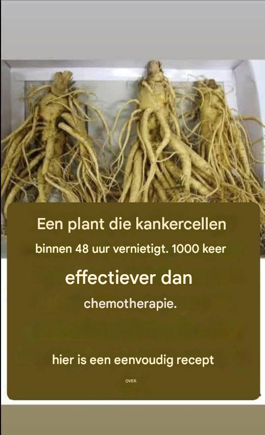 Deze wortel doodt 98% van de maag-, darm-, alvleesklier- en andere kankersoorten.