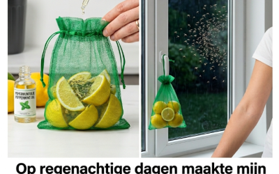 Op regenachtige dagen maakte mijn moeder een zakje met muggenwerend middel en hing dat voor het raam, zodat geen mug het waagde om in de buurt te komen
