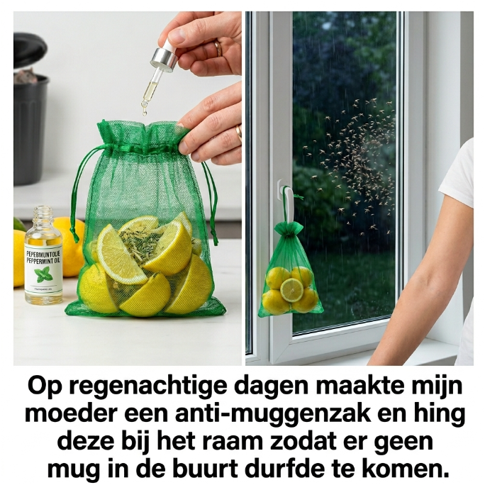 Op regenachtige dagen maakte mijn moeder een zakje met muggenwerend middel en hing dat voor het raam, zodat geen mug het waagde om in de buurt te komen
