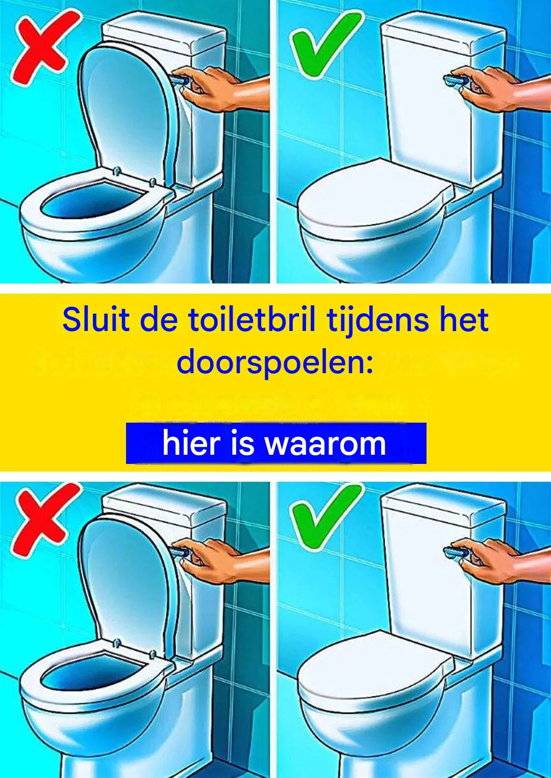 De weinig bekende voordelen van het sluiten van de toiletbril vóór het doorspoelen.