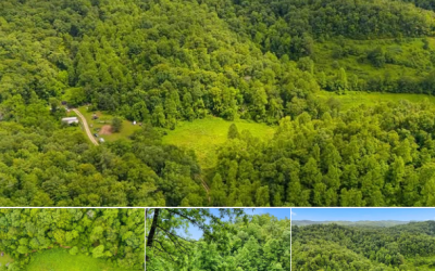 Een afgelegen wildernisgebied van 18,5 hectare in Kentucky