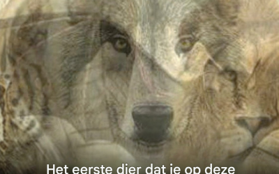 Het eerste dier dat op deze afbeelding te zien is, wordt hier onthuld.