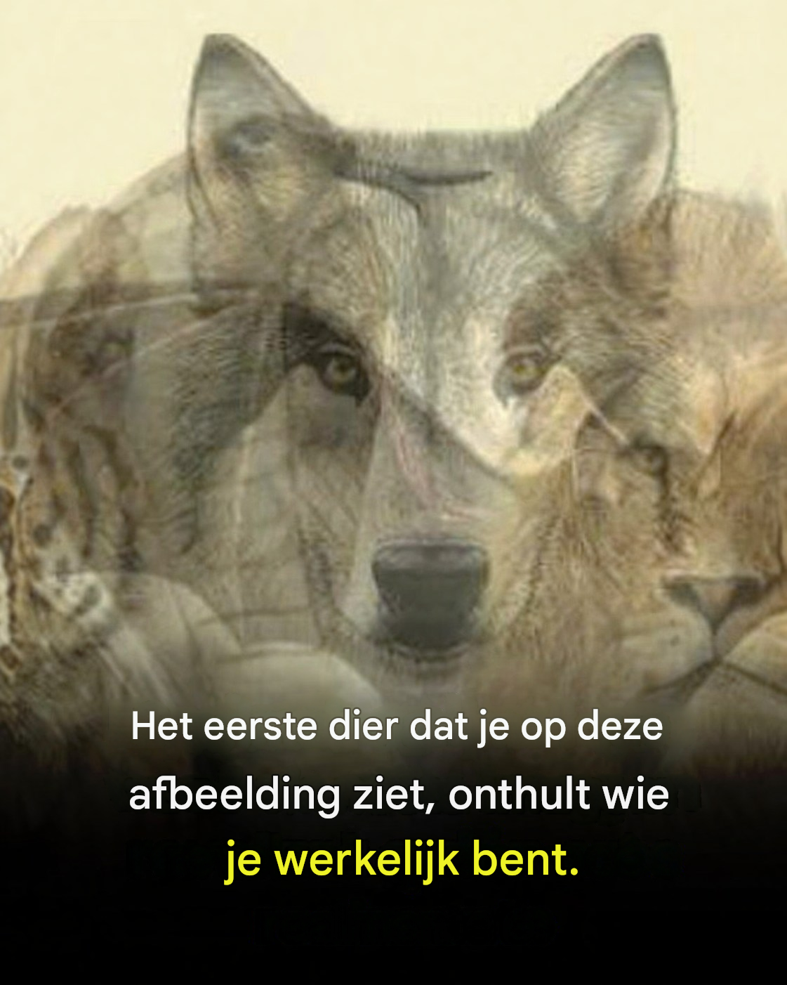 Het eerste dier dat op deze afbeelding te zien is, wordt hier onthuld.