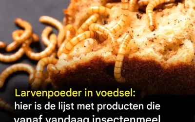 Nieuwe horizonten in de culinaire wereld: een onverwacht ingrediënt integreren in ons dagelijks leven.