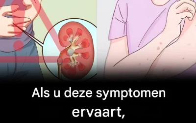 De eerste tekenen van een nierprobleem en hoe u uzelf kunt beschermen.