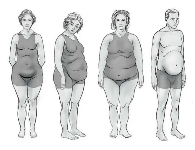 Hoe verraadt je lichaamsvorm je hormonale onevenwichtigheden?