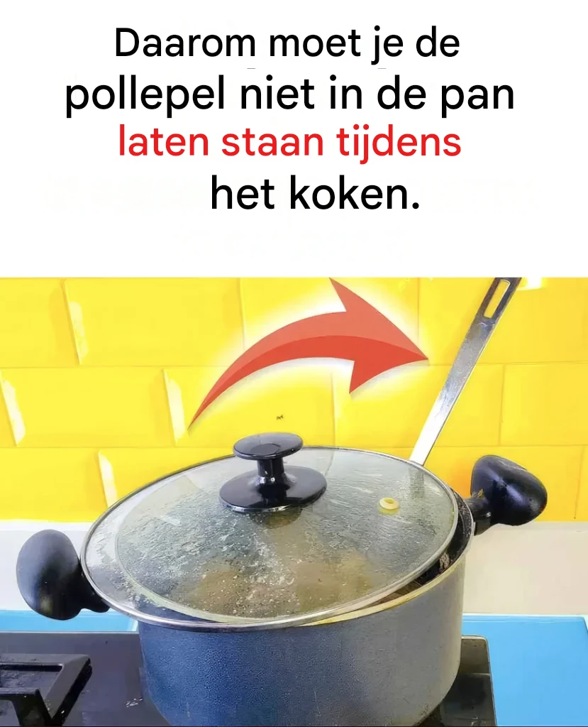 De weinig bekende gevolgen van het laten staan ​​van de pollepel in de pan tijdens het koken.