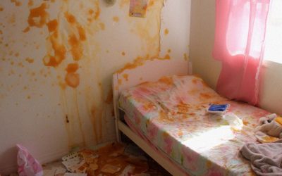 Mijn schoonmoeder heeft de pas gerenoveerde speelkamer van mijn dochter verpest met rotte eieren – toen ik erachter kwam waarom, moest ik haar een lesje leren.