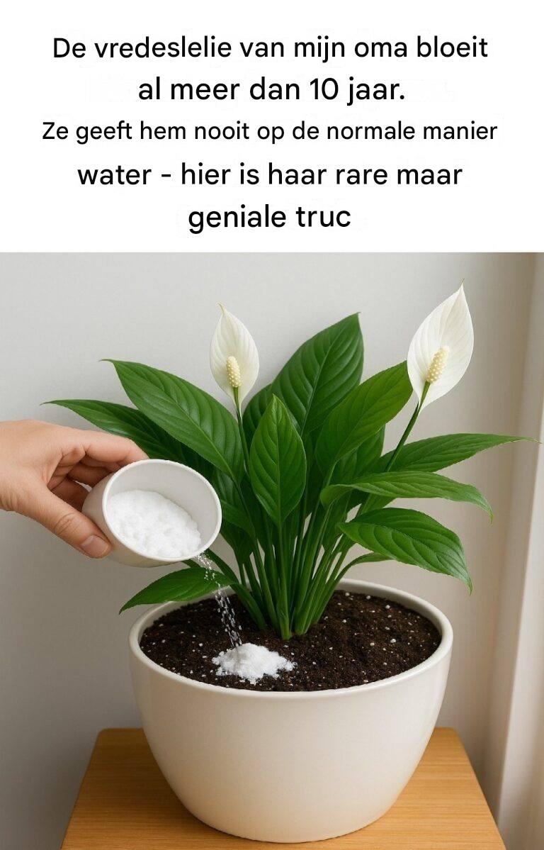 Verzorgingsgeheim voor vredeslelies: laat gewoon water links liggen en probeer deze natuurlijke boost voor weelderige, bloeiende bloemen.