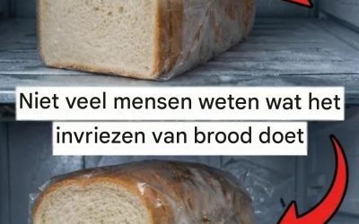 Dit is wat er gebeurt als brood in de vriezer terechtkomt.