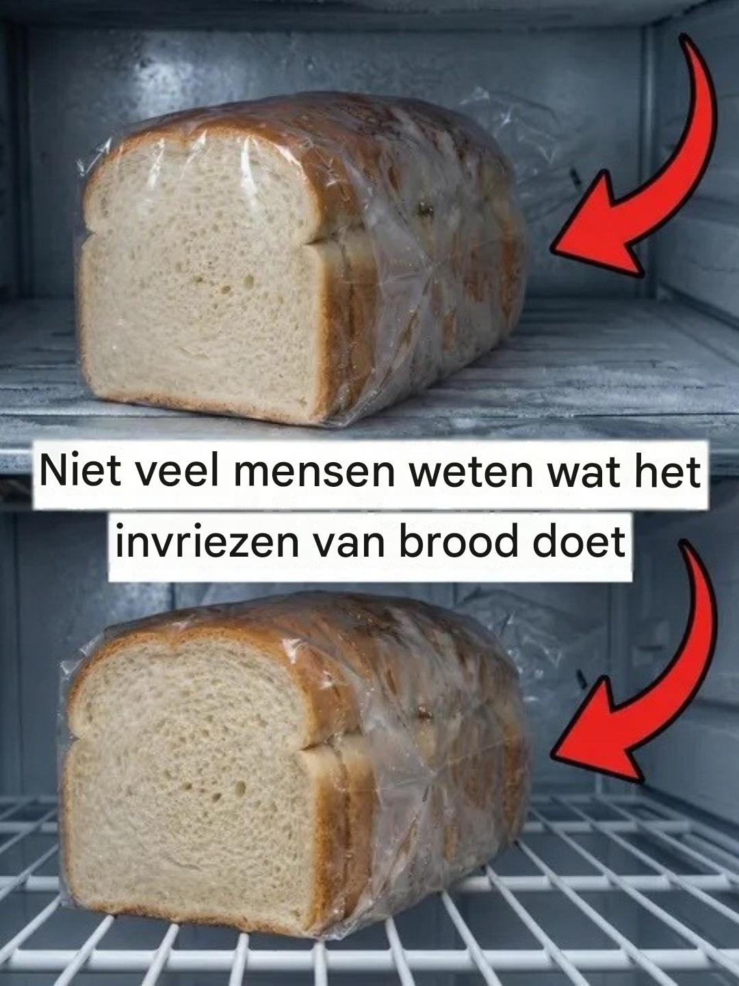 Dit is wat er gebeurt als brood in de vriezer terechtkomt.