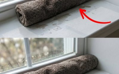De wetenschap achter het plaatsen van een natte handdoek op je vensterbank terwijl je slaapt: hoe deze simpele truc gebruikmaakt van verdampingskoeling zoals een geavanceerde airconditioning, je verrassend comfortabel houdt op warme nachten en zelfs je slaapkwaliteit kan verbeteren.