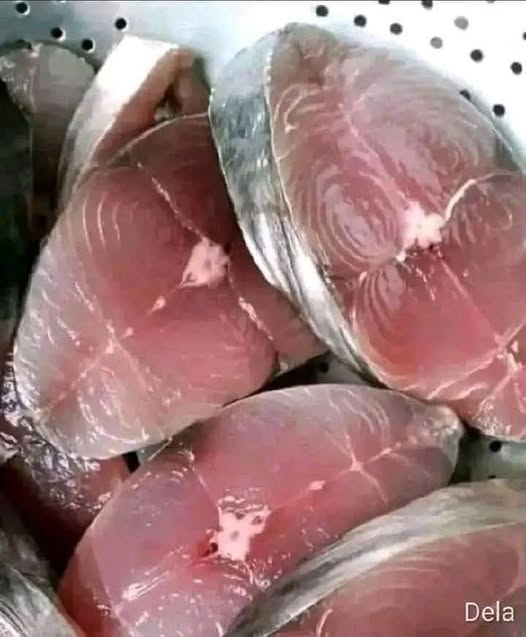 De kracht van de zee op je bord: Waarom artsen zeggen dat vis hét voedsel is om je gezondheid te verbeteren