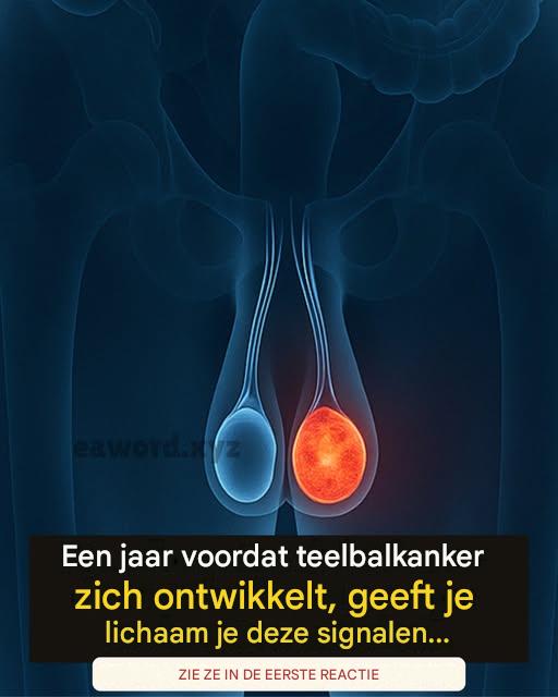 Gezondheid van de man: 5 waarschuwingssignalen in de testikels die geen enkele man mag negeren