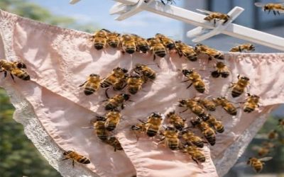 Waarom worden sommige bijen aangetrokken door je kleding? De redenen die weinig mensen kennen en hoe je kunt voorkomen dat je ze aantrekt zonder het te beseffen.