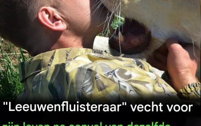 ‘Leeuwenfluisteraar’ ernstig gewond geraakt door dezelfde kat die vorig jaar een collega doodde.
