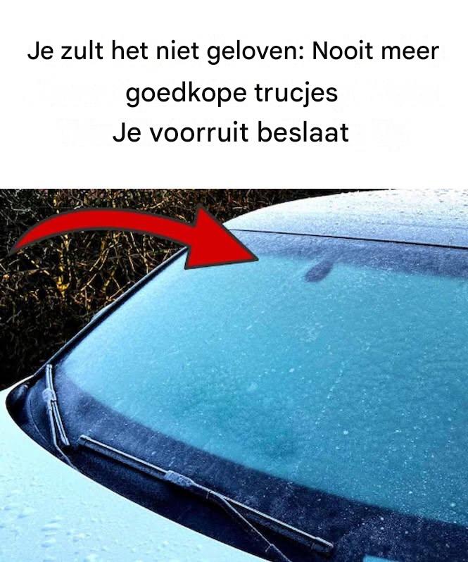 Je zult het niet geloven: met deze simpele truc beslaat je voorruit nooit meer.