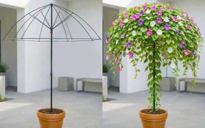 Ze toverde een kapotte paraplu om tot een bloeiend paradijs – en nu wil iedereen er een hebben.