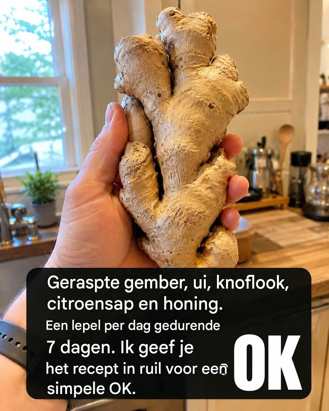 Gember Knoflook Ui En Citroen Mix Reinigt Je Lichaam En Longen Snel