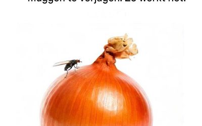 Ze zweert hierbij.