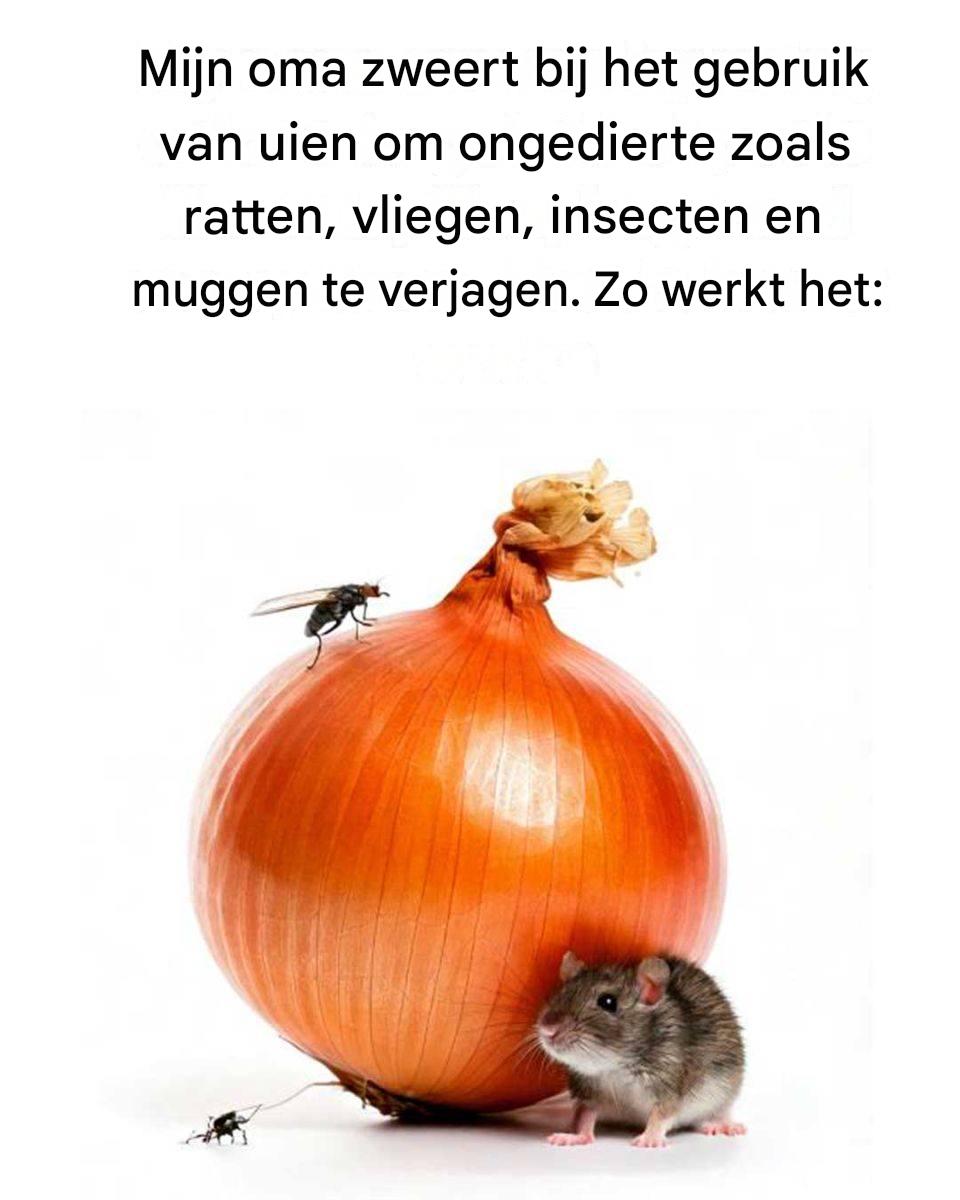 Ze zweert hierbij.