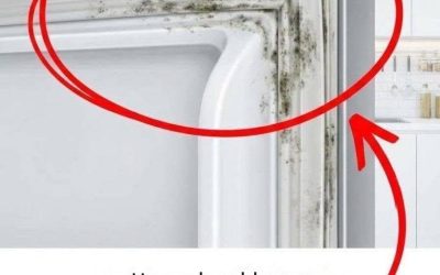 Hier lees je hoe je de waterdichte afdichting van je koelkast in 5 minuten schoonmaakt.
